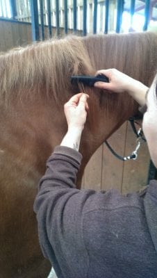 SoloComb